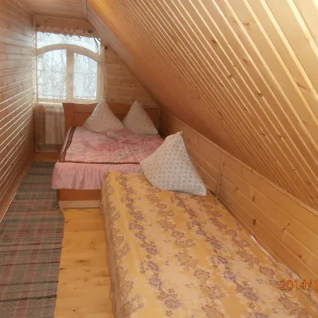 Karpatskiy Domyk Apartment *