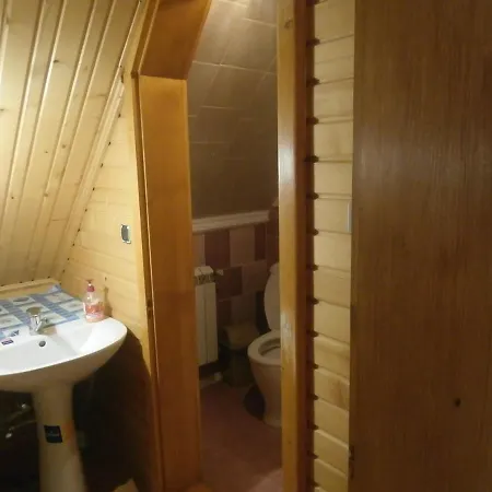 Apartment Karpatskiy Domyk Izki